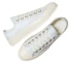 Chuck 70 Low Lace Trim „Egret Barely Grey“