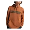 Chuck Taylor All Star Logo Namesake Hoodie (asiatische Größen) „Khaki“