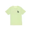 Chuck Taylor All Star Summer Super Incredible Special T-Shirt (asiatische Größen) „Grün“