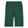Go-To Fleece-Shorts mit Stern-Chevron-Stickerei, Standard-Fit, asiatische Größen „Grün“