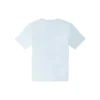 Go-To T-Shirt mit Stern-Chevron-Stickerei, Standard-Passform, asiatische Größen „Hellblau“